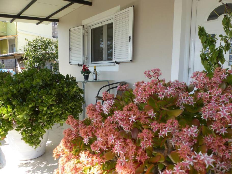 Michaels Flower House Kanali  ภายนอก รูปภาพ